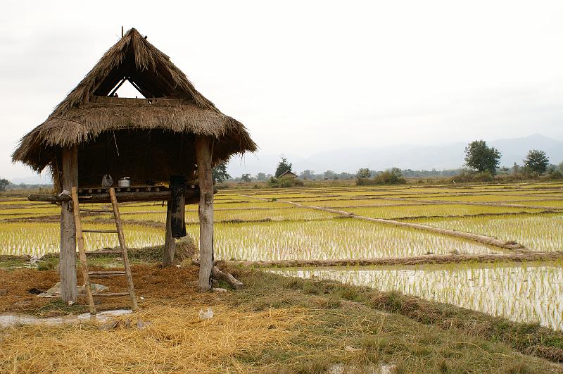 27 Okolica Luang Nam Tha.JPG
